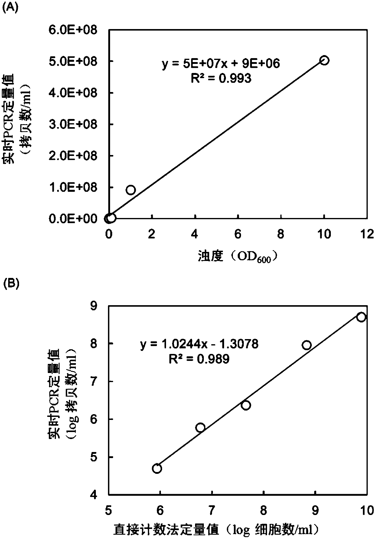 Primer set for detecting 1,4-dioxane degrading bacterium, and method for detecting and quantifying 1,4-dioxane degrading bacterium