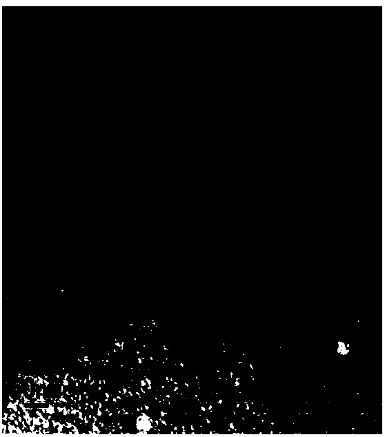 Green and quick preparation method of antibacterial material sodium alginate-ascorbic acid nano-silver