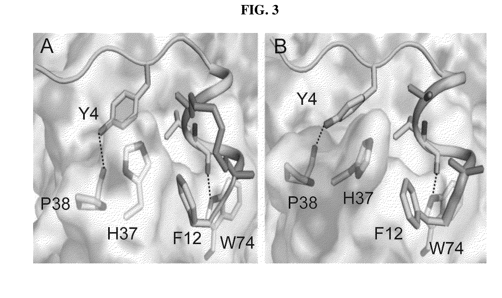 STAPLING eIF4E INTERACTING PEPTIDES