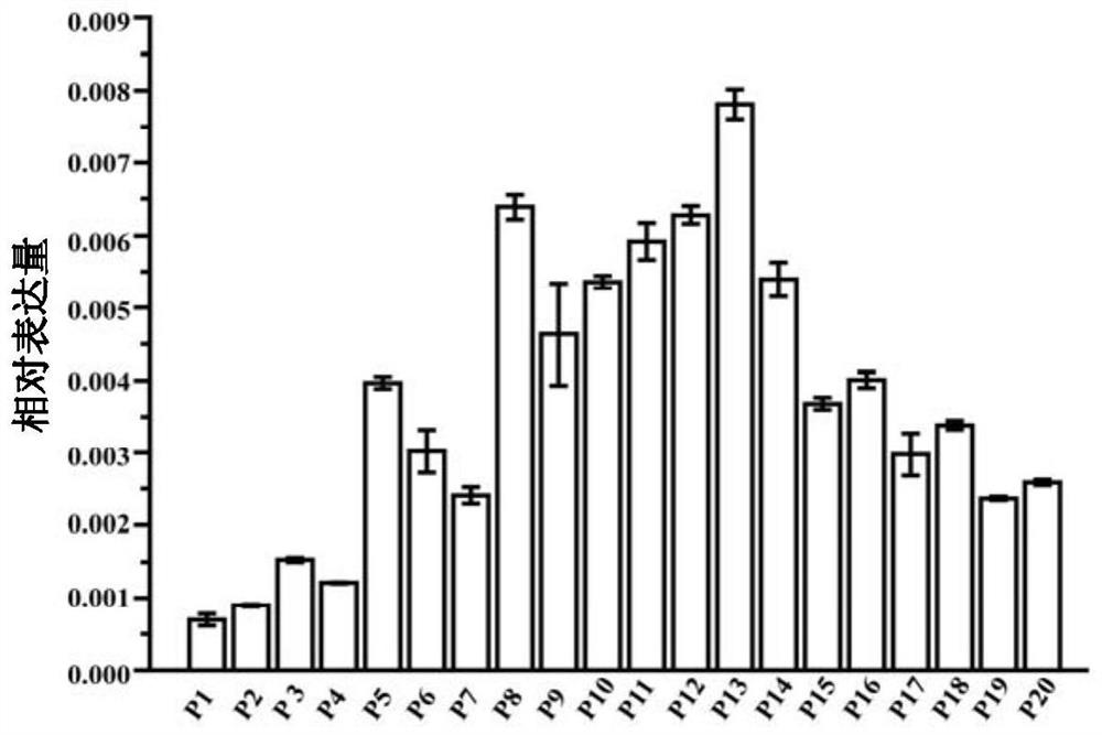 A method for improving the fertility of rice distant hybrid offspring and the protein used