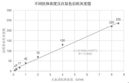 Method for rapidly and quantitatively detecting rabies virus antibody by using rabies virus G protein, coding gene of G protein and test paper