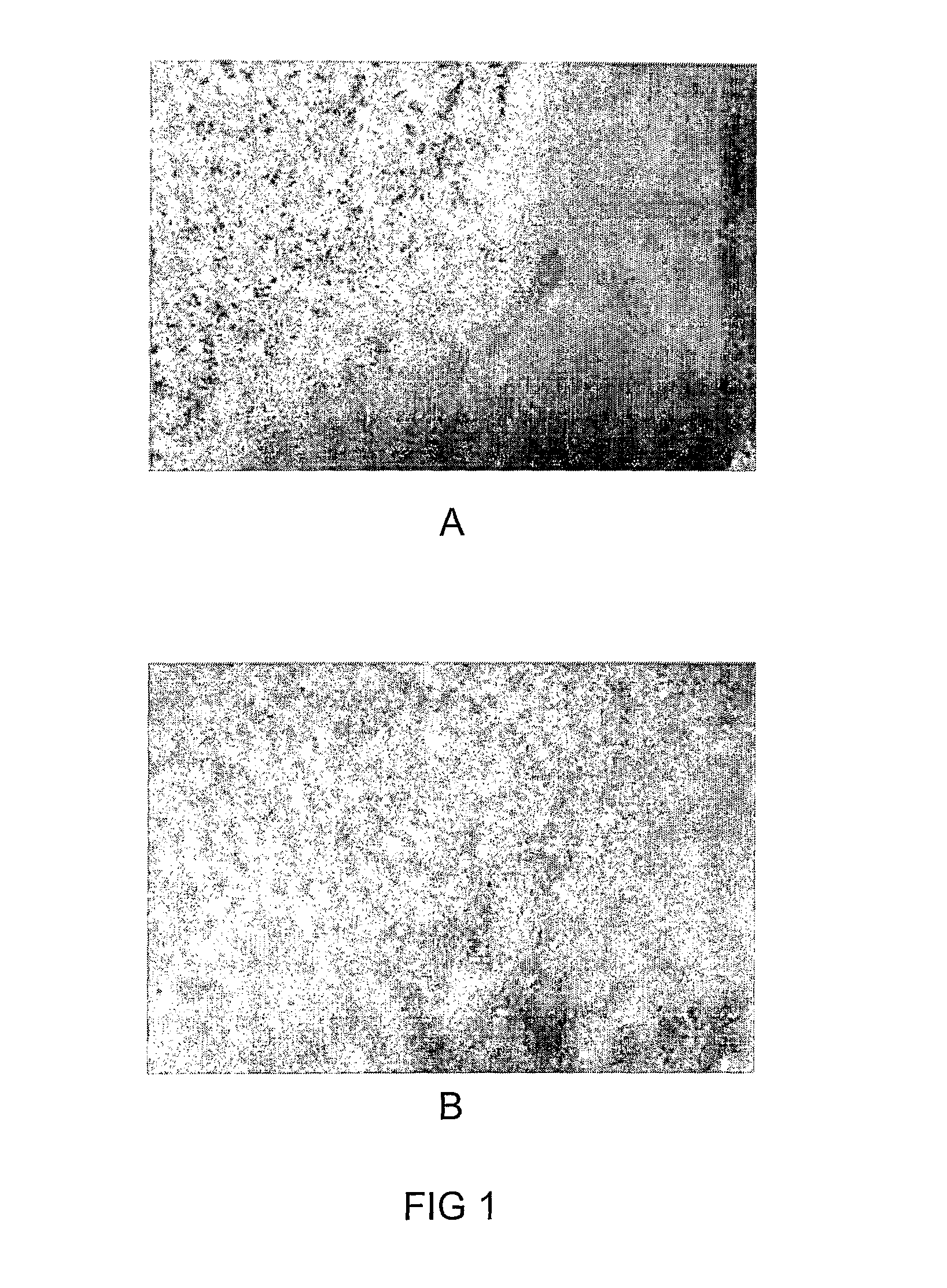 Methods and compounds for detection of medical disorders