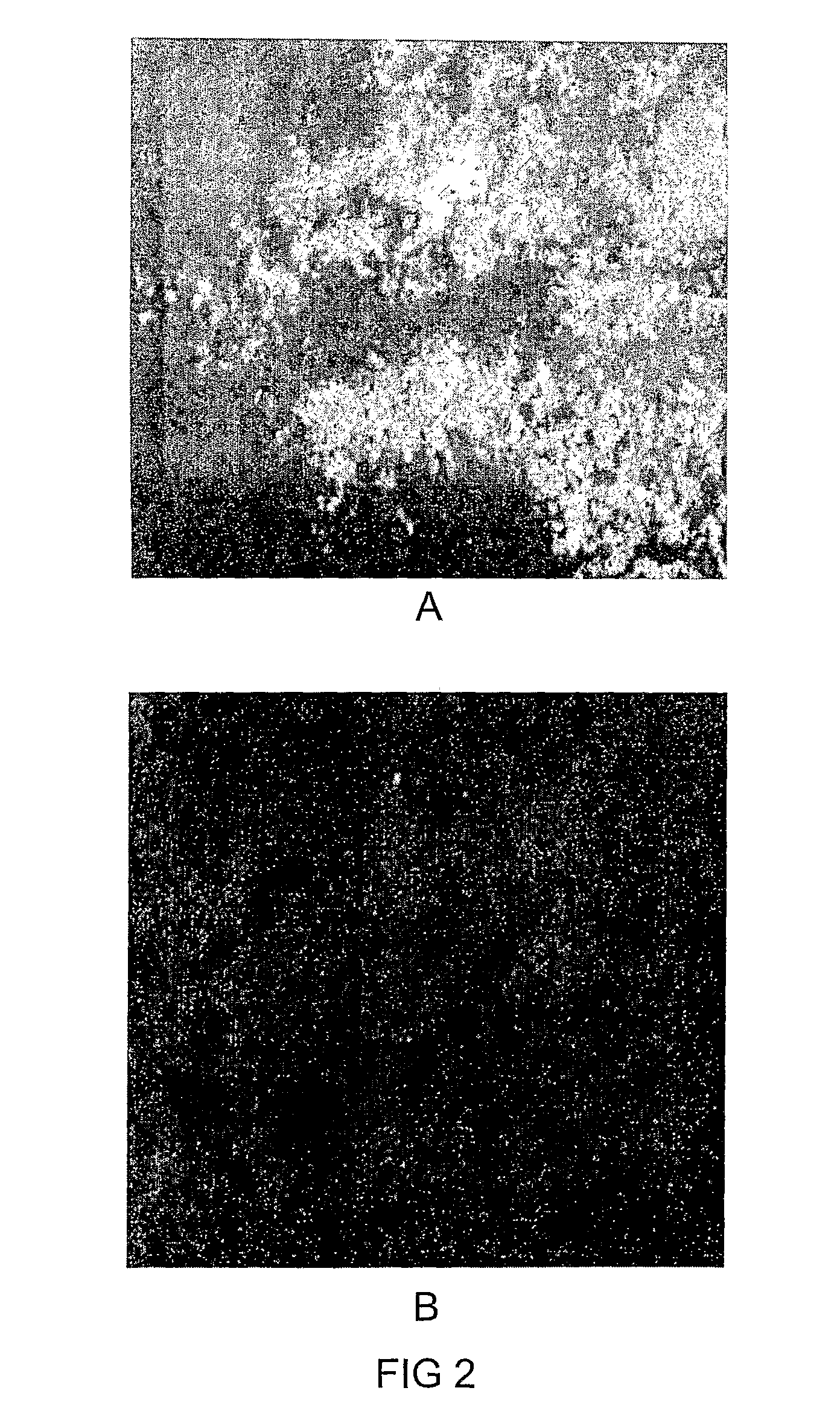 Methods and compounds for detection of medical disorders