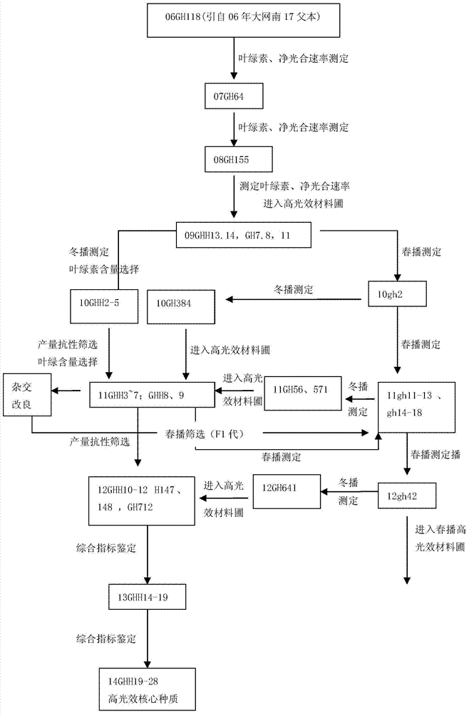 A kind of breeding method of high light efficiency core germplasm of rapeseed