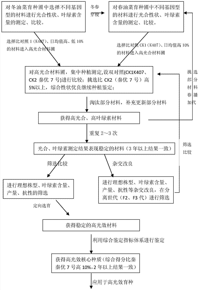 A kind of breeding method of high light efficiency core germplasm of rapeseed