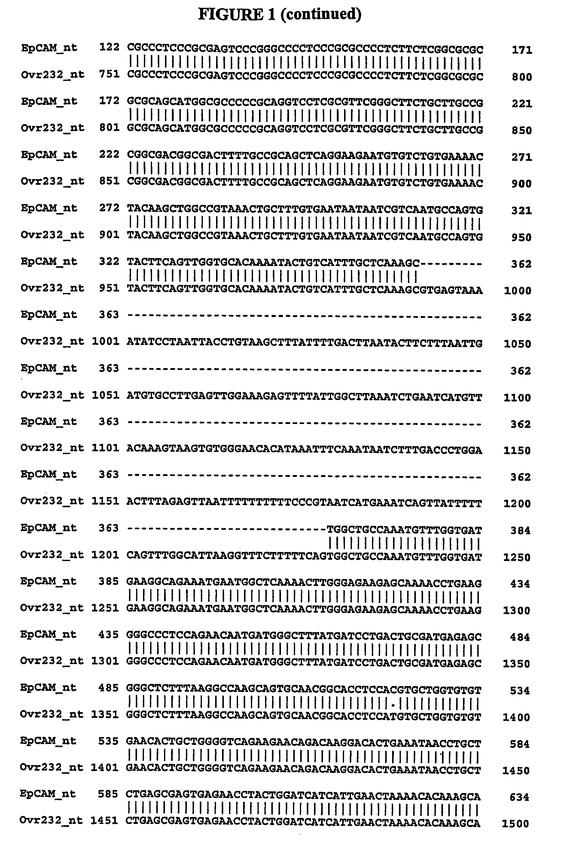 Composition, splice variants and methods relating to ovarian specific genes and proteins