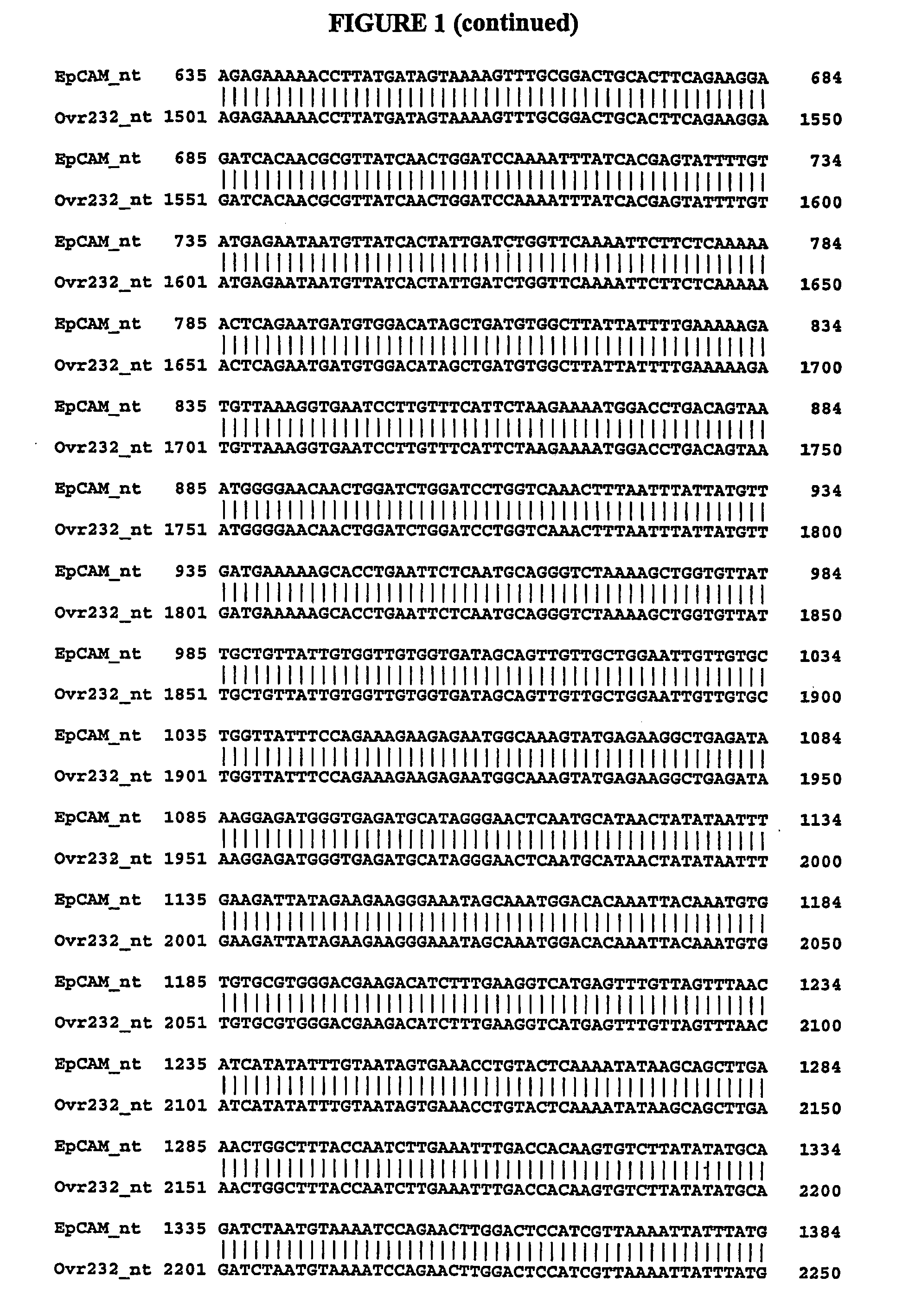 Composition, splice variants and methods relating to ovarian specific genes and proteins