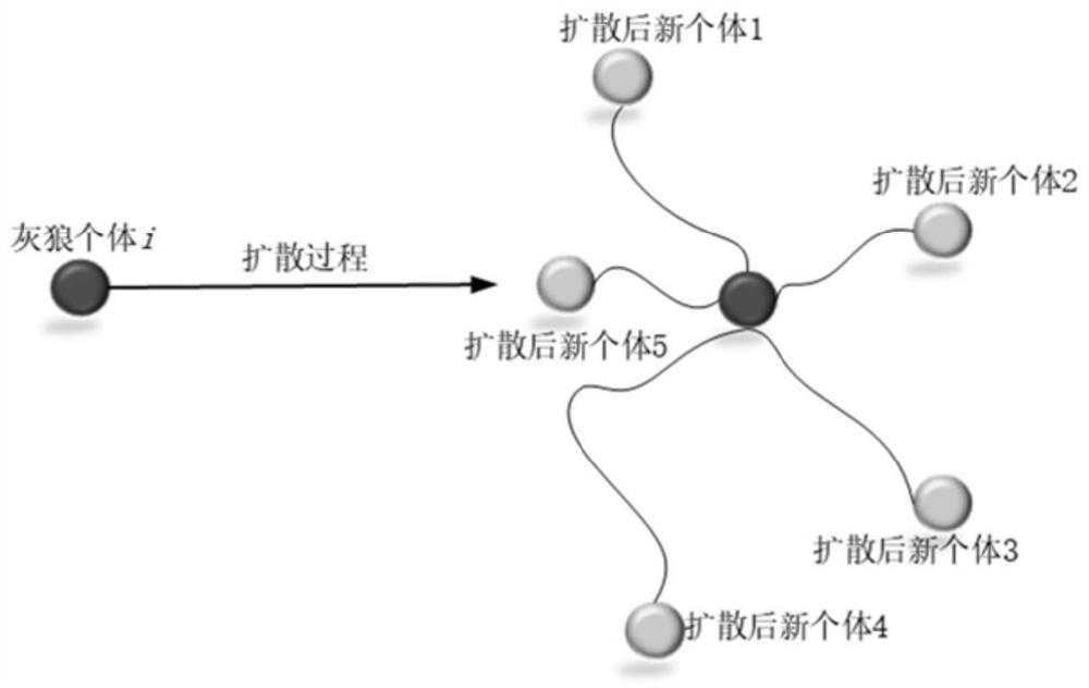 Grey wolf optimization algorithm gene selection method based on diffusion and chaotic local search