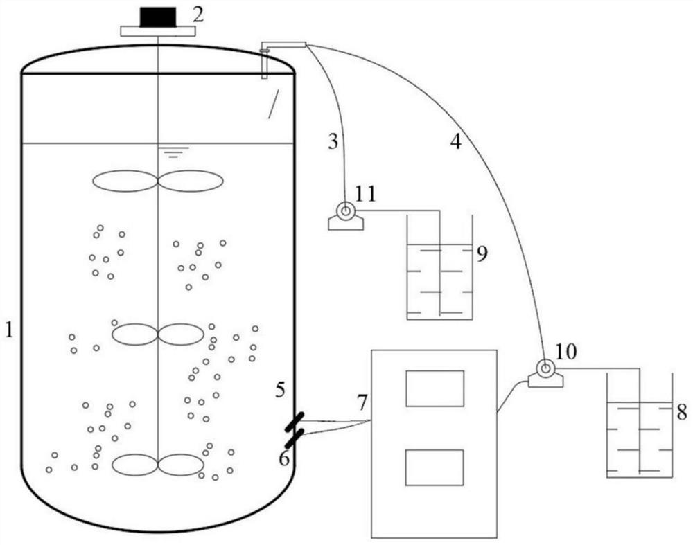 Method for screening and culturing denitrifying bacteria flora with high salt tolerance