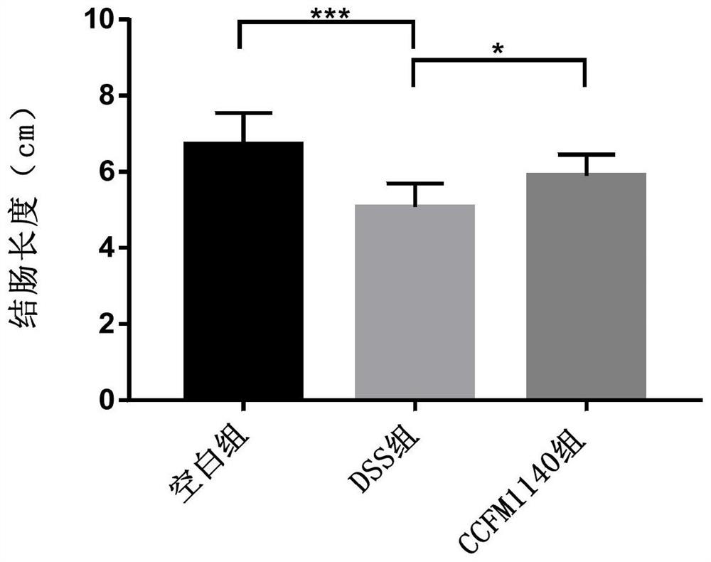 Rumen lactobacillus capable of protecting intestinal barriers and application