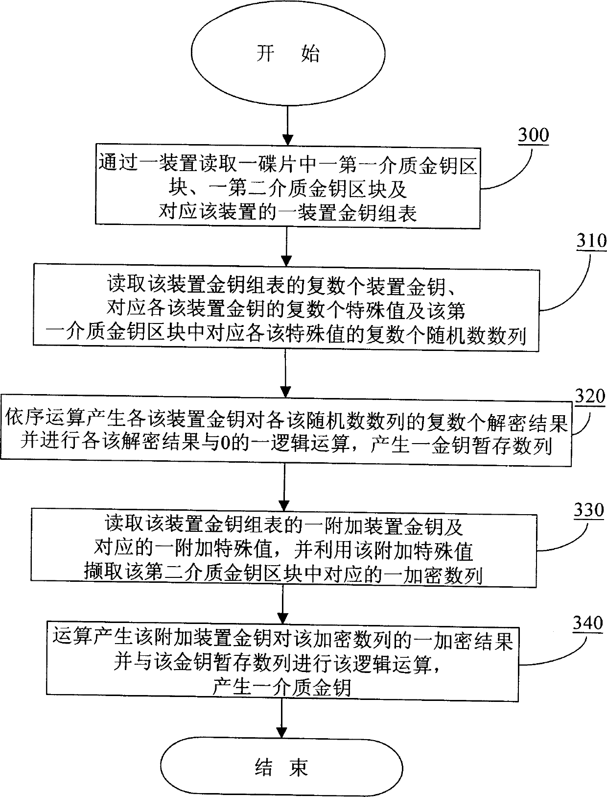 Disk anti-copying system, method and apparatus