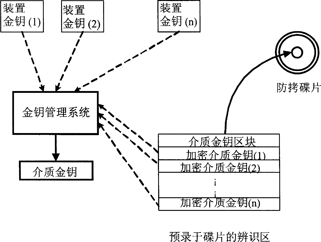 Disk anti-copying system, method and apparatus