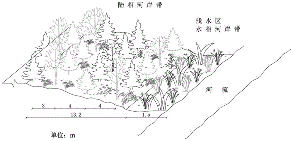 Configuration method of in-situ ecological purification system for river and lake water