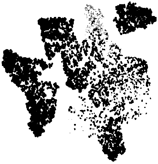 Image classification method based on direct push semi-supervised depth learning