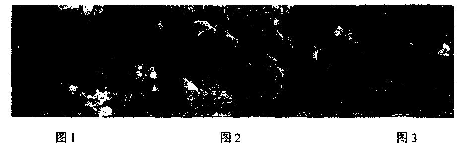 Preparation method of methacrylic acid bentonite