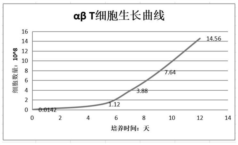 Gamma delta T-like alpha beta T cell and preparation method and application thereof