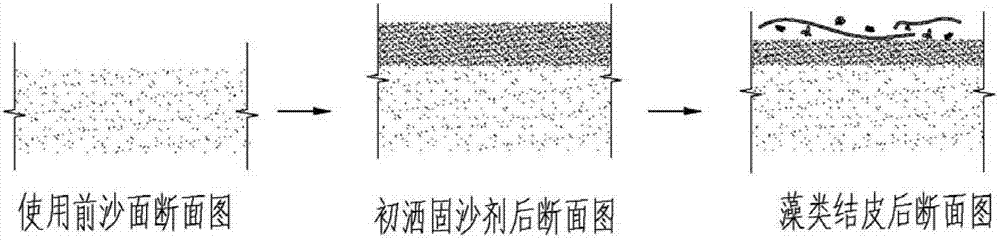 Compound ecological stand stabilizing agent prepared from sewage sludge as well as preparation method and application of compound ecological stand stabilizing agent