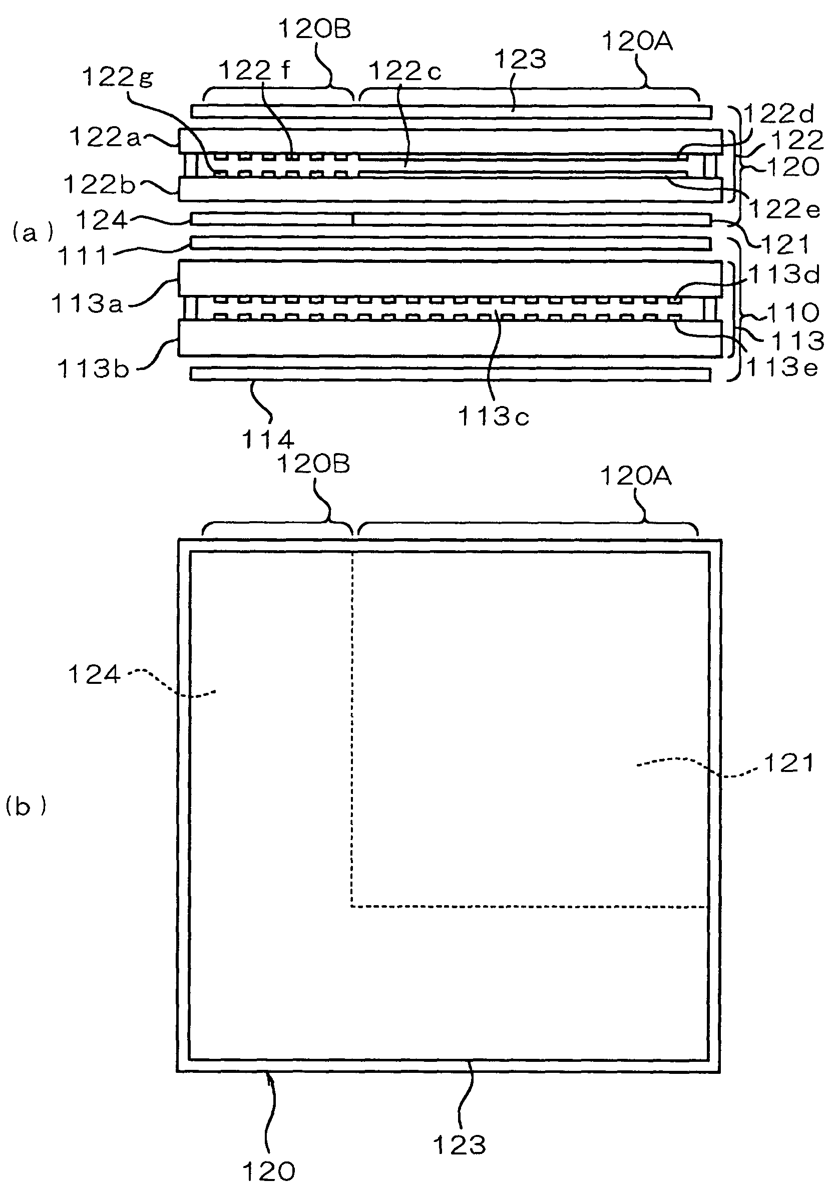 Display device and electronic equipment having the same comprising a region for reflecting a polarized light and a region for absorbing the polarized light