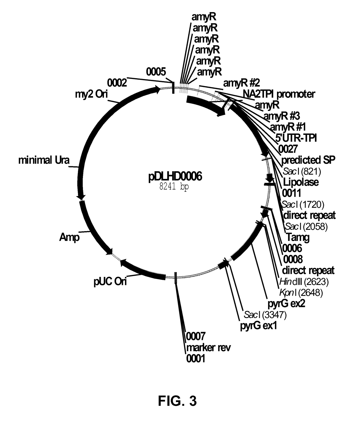 Xyloglucan Endotransglycosylase variants and Polynucleotides Encoding Same