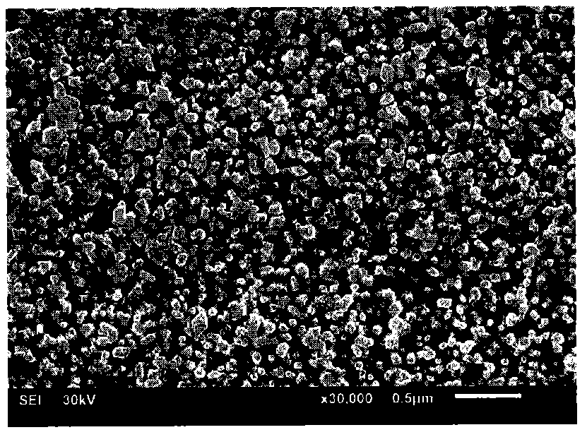 Preparation method of high-orientation nanometer hydroxyapatite crystalline colloidal array