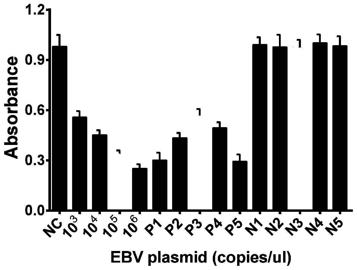 Detection method and application of EBV based on CRISPR-Cas12a and G quadruplex-heme