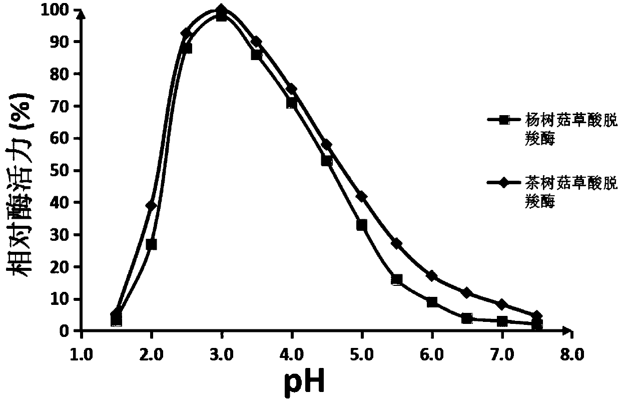 Glycosylated oxalate decarboxylase as well as preparation and application of glycosylated oxalate decarboxylase