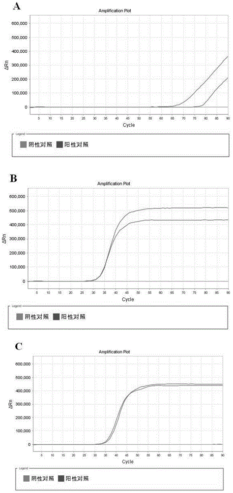 Isothermal amplification detection primer of Macadamia allergens, kit and method thereof