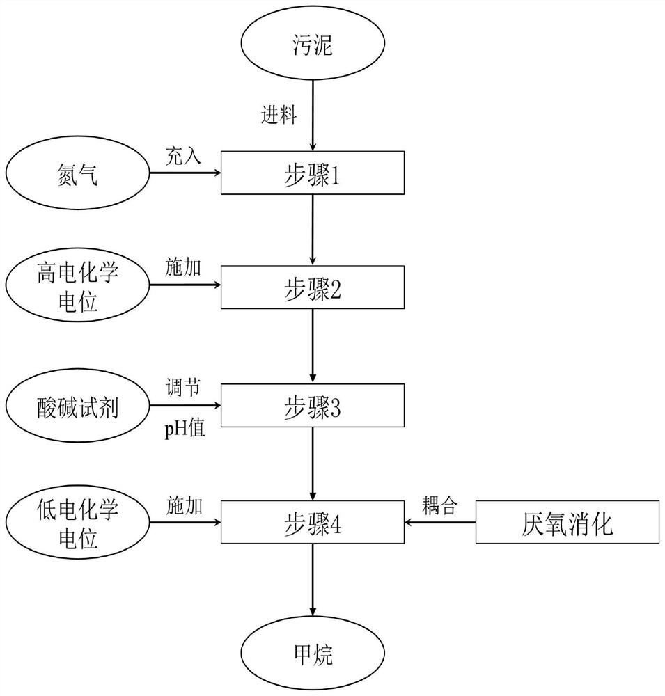 Method for improving anaerobic digestion performance of sludge and synchronously killing pathogenic microorganisms