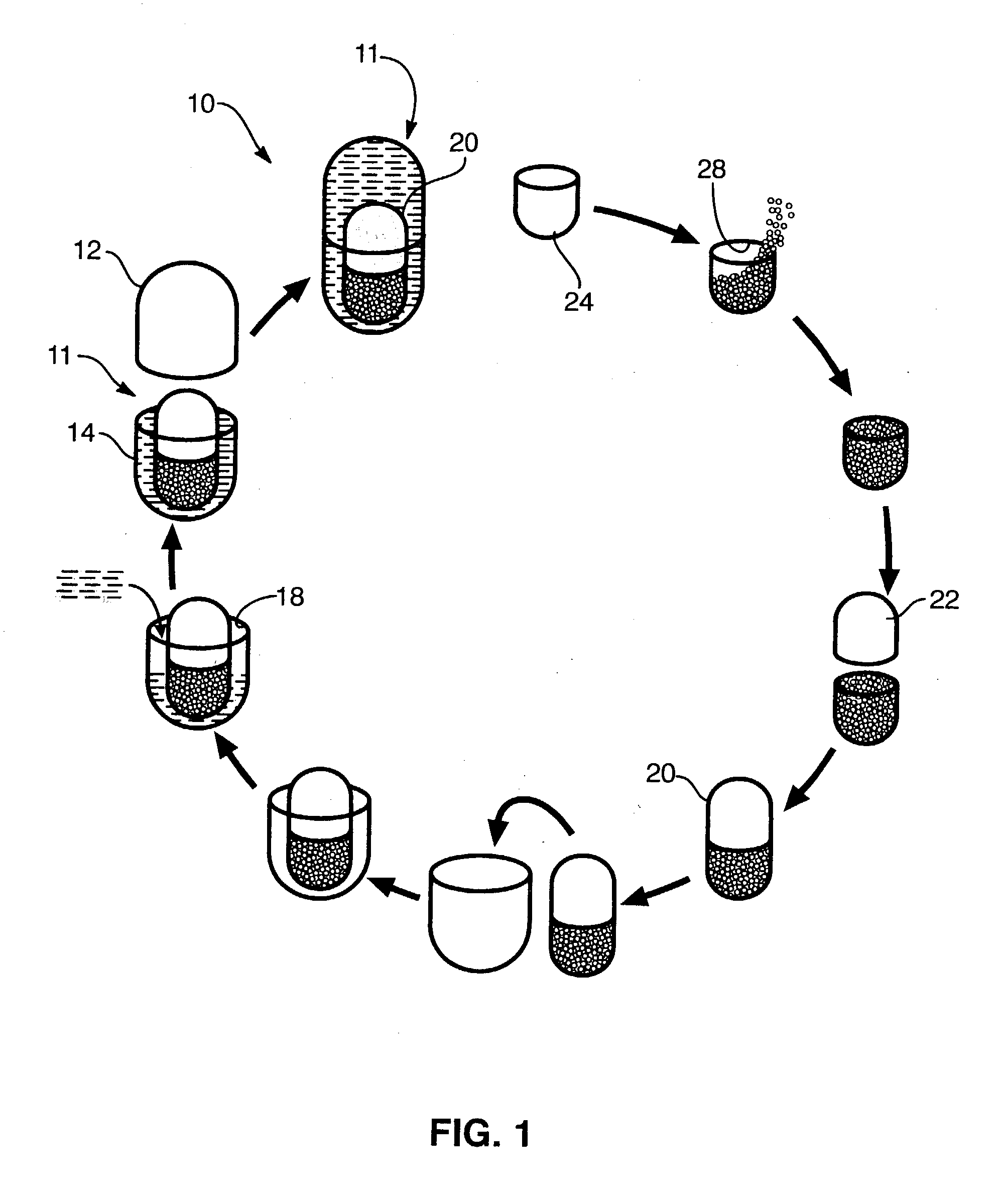 Multi-phase,multi-compartment capsular delivery apparatus and methods for using same