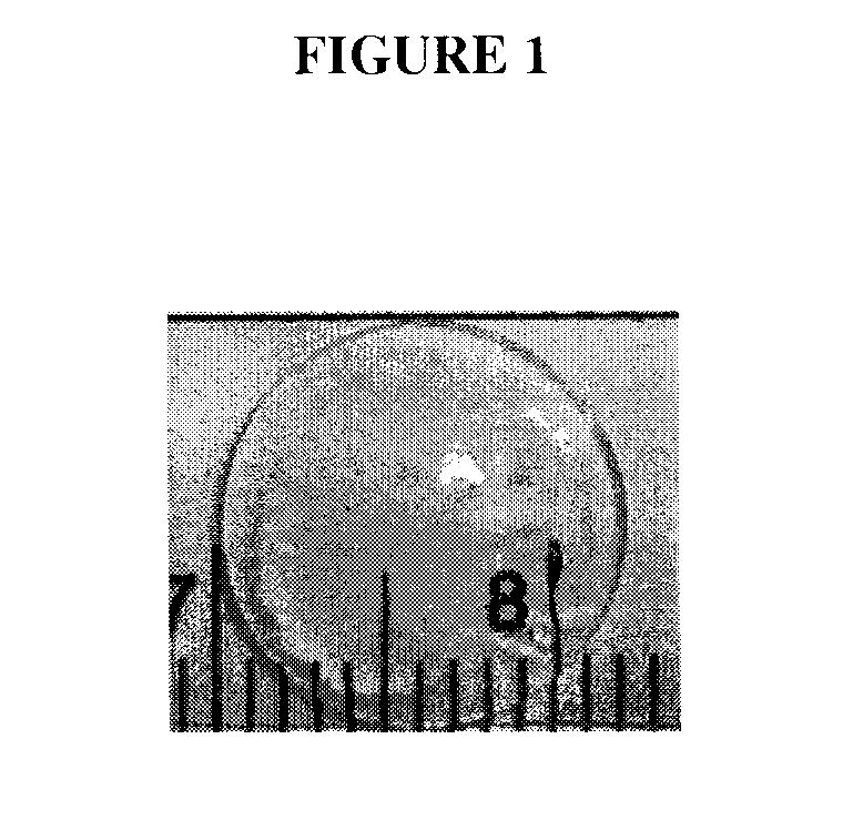 Interpenetrating Networks, and Related Methods and Compositions