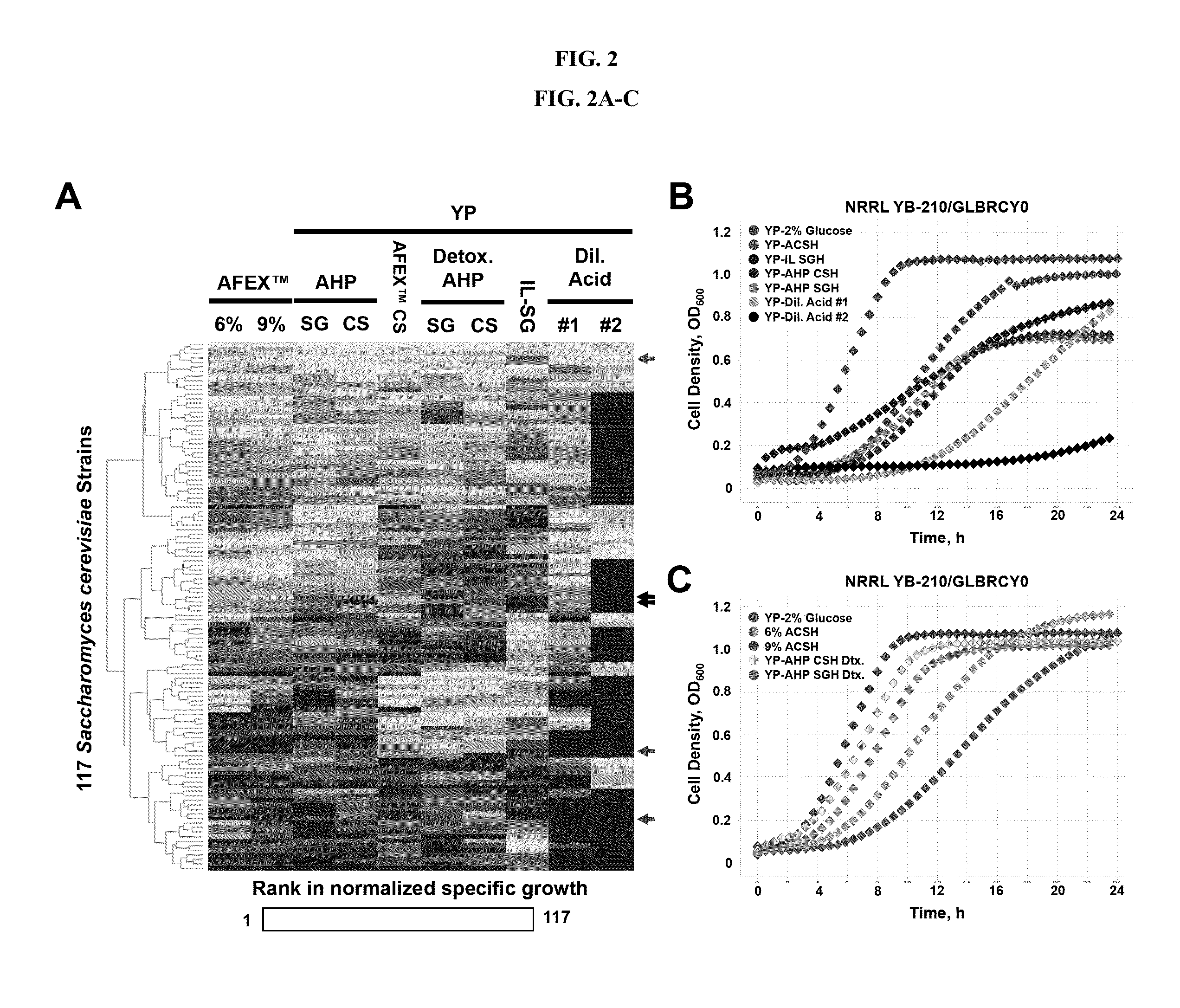 Recombinant yeast having enhanced xylose fermentation capabilities and methods of use