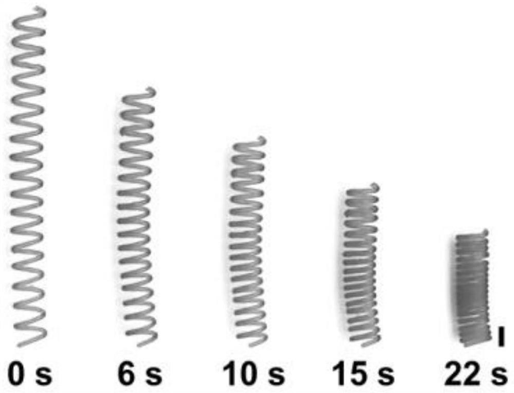 Preparation method and application of shape memory hydrogel