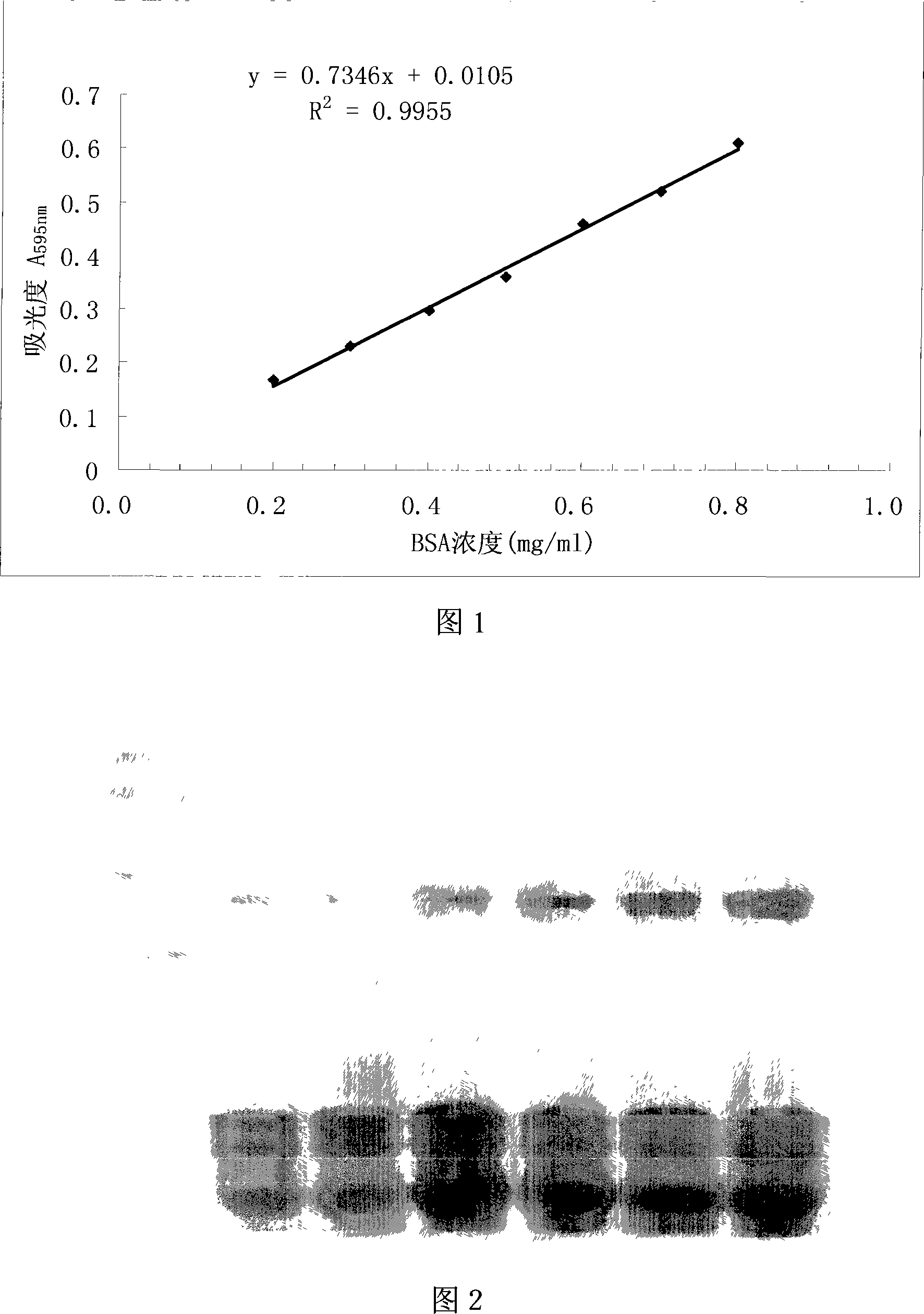 Method for detecting total foam protein component and content of beer barley and malt
