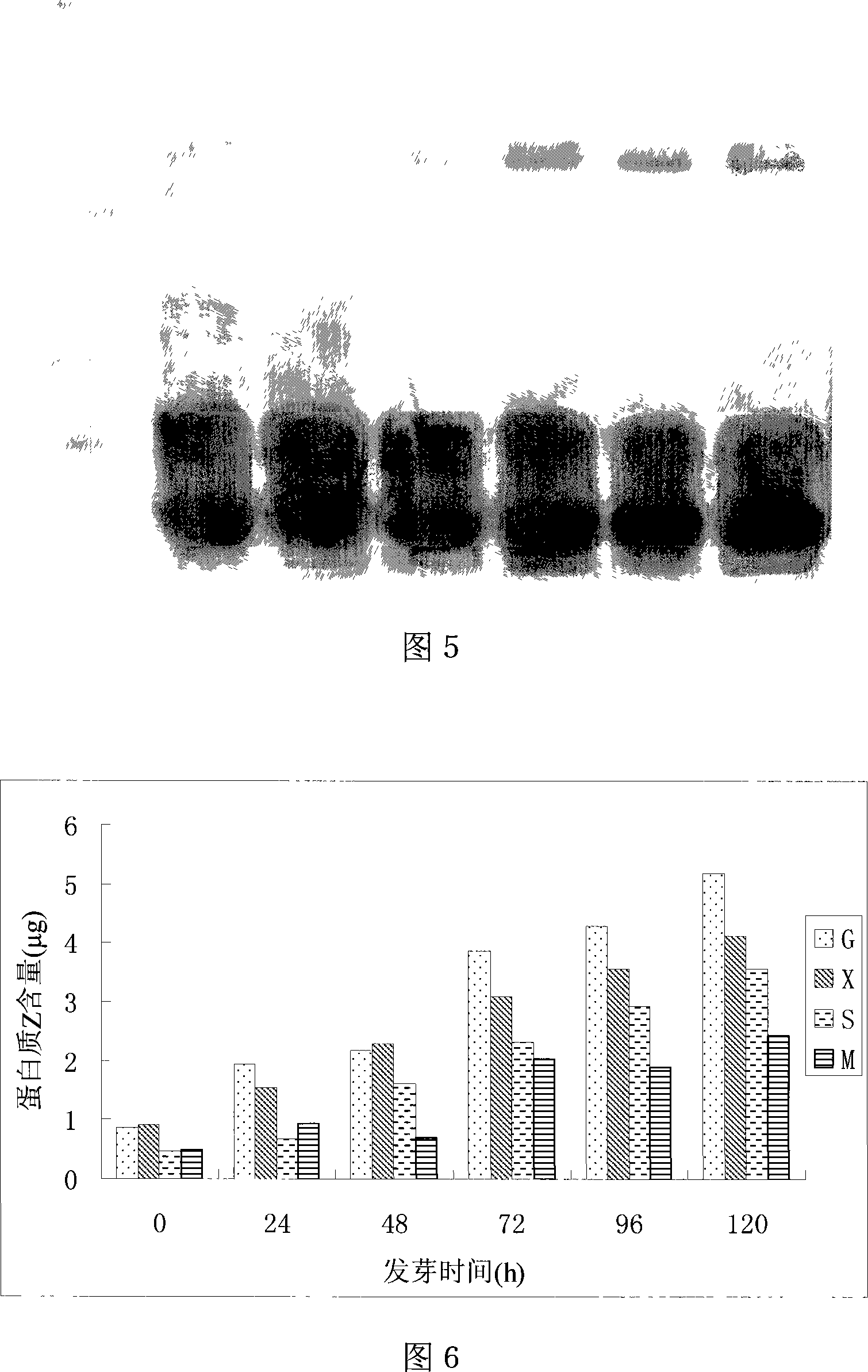 Method for detecting total foam protein component and content of beer barley and malt