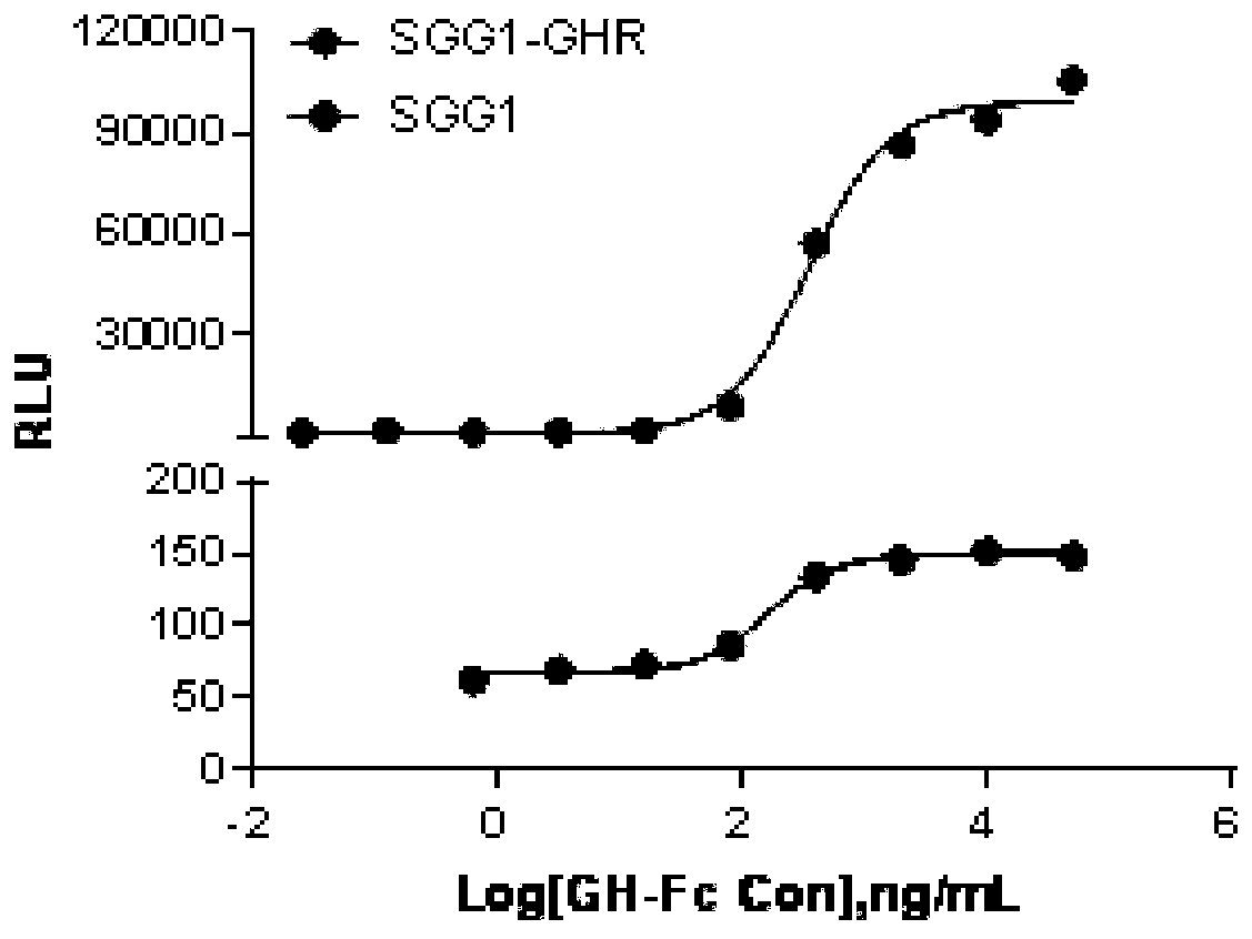Novel method used for determining biological activity of recombinant human growth hormone fusion protein