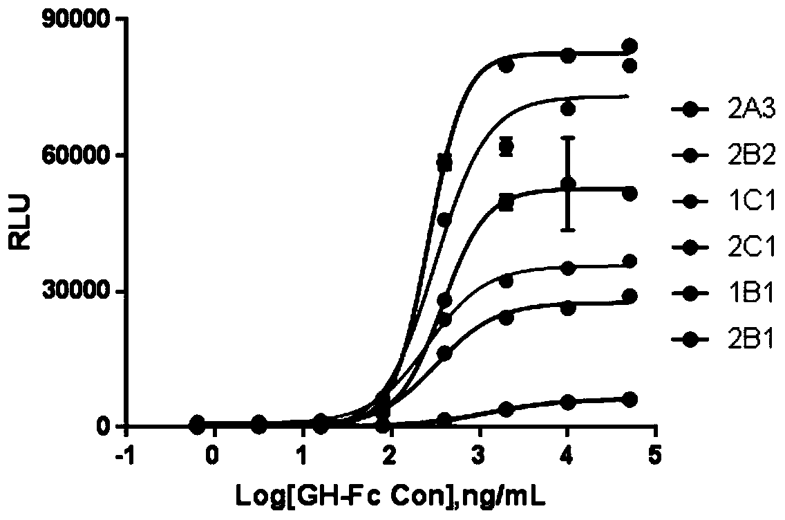 Novel method used for determining biological activity of recombinant human growth hormone fusion protein