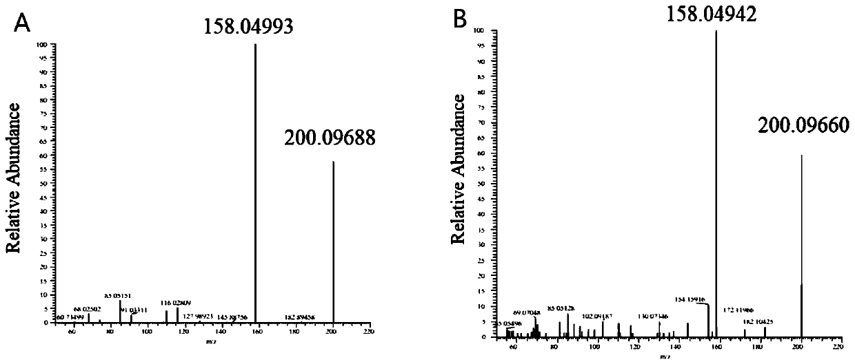 Method for detecting triazine herbicides and metabolites thereof in shellfish
