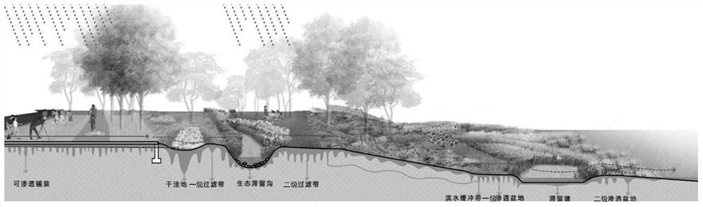 Multistage plaque filtering wetland system designed for degenerated wetland of Luagu lake meadow sea