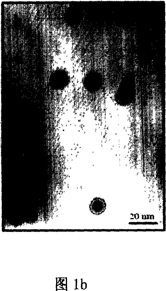 Preparation method of phospholipid functional photoluminous reinforced type nuclear shell structure quantum point