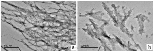 Calcium phosphate nanoparticles and ion-complementary peptide composite hydrogel and preparation method thereof