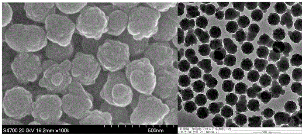 One-pot dispersion polymerization for the preparation of non-spherical, raspberry-like or hollow polymer microspheres