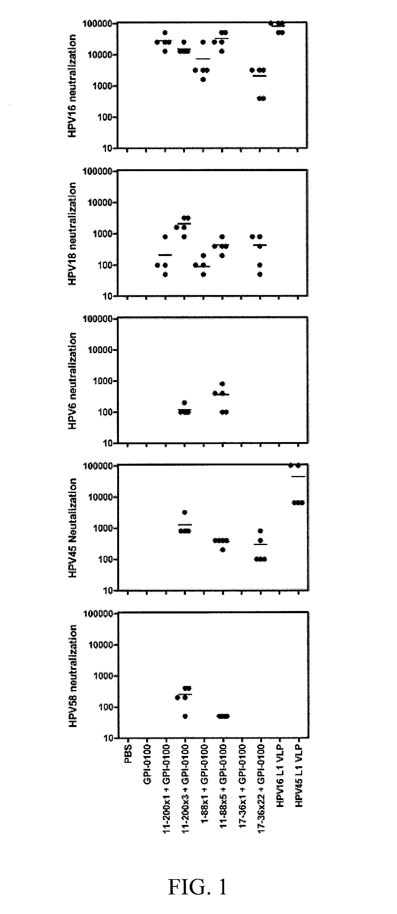 Multitype HPV peptide compositions and methods for treatment or prevention of human papillomavirus infection