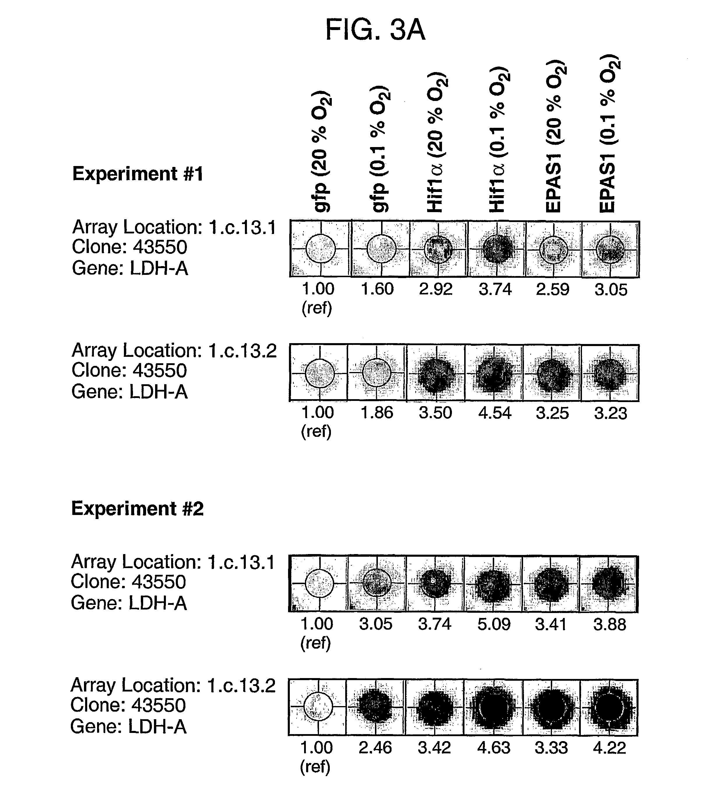 Differential expression screening method