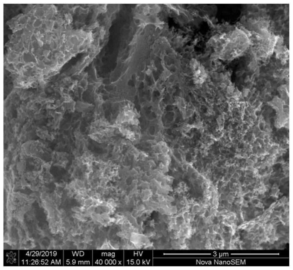 Method for preparing high-nitrogen-doped graphitized porous carbon material by metal nitrate catalytic carbonization method