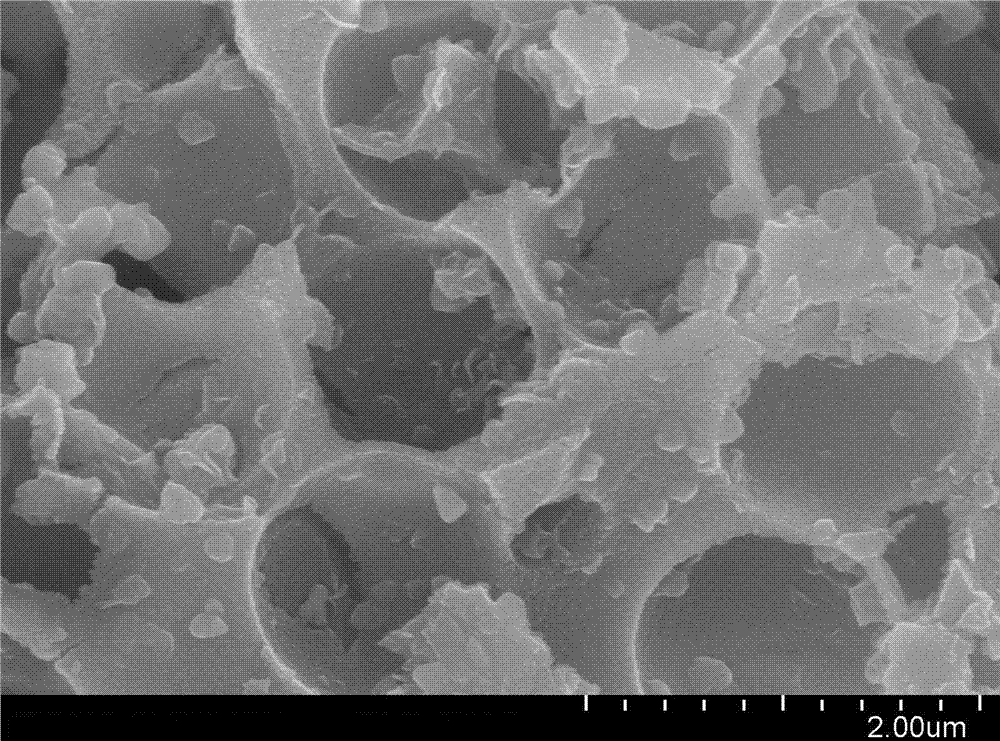 CdS-MoS2 nanoparticle co-doped black porous titanium dioxide photocatalyst