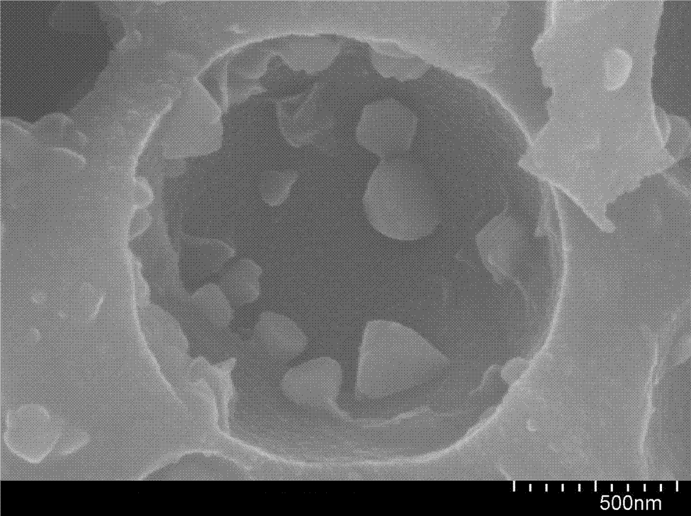 CdS-MoS2 nanoparticle co-doped black porous titanium dioxide photocatalyst