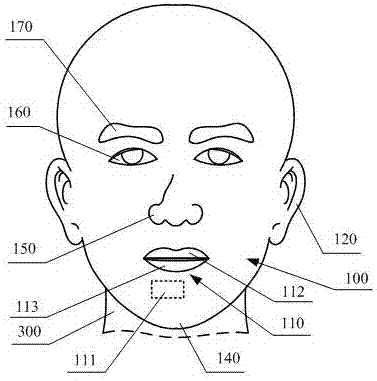 Human face shape simulation robot