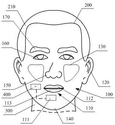 Human face shape simulation robot