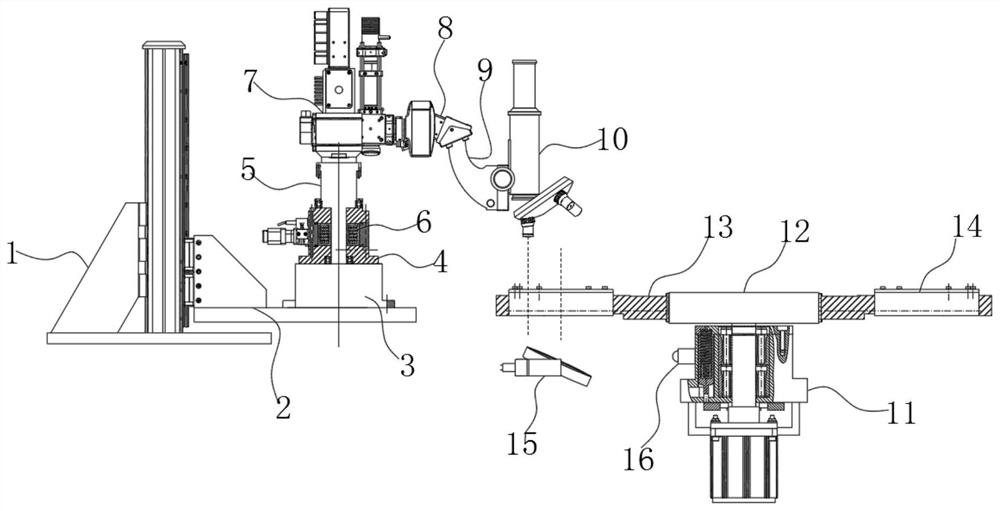 A device for observing proliferation of cholangiocarcinoma cells