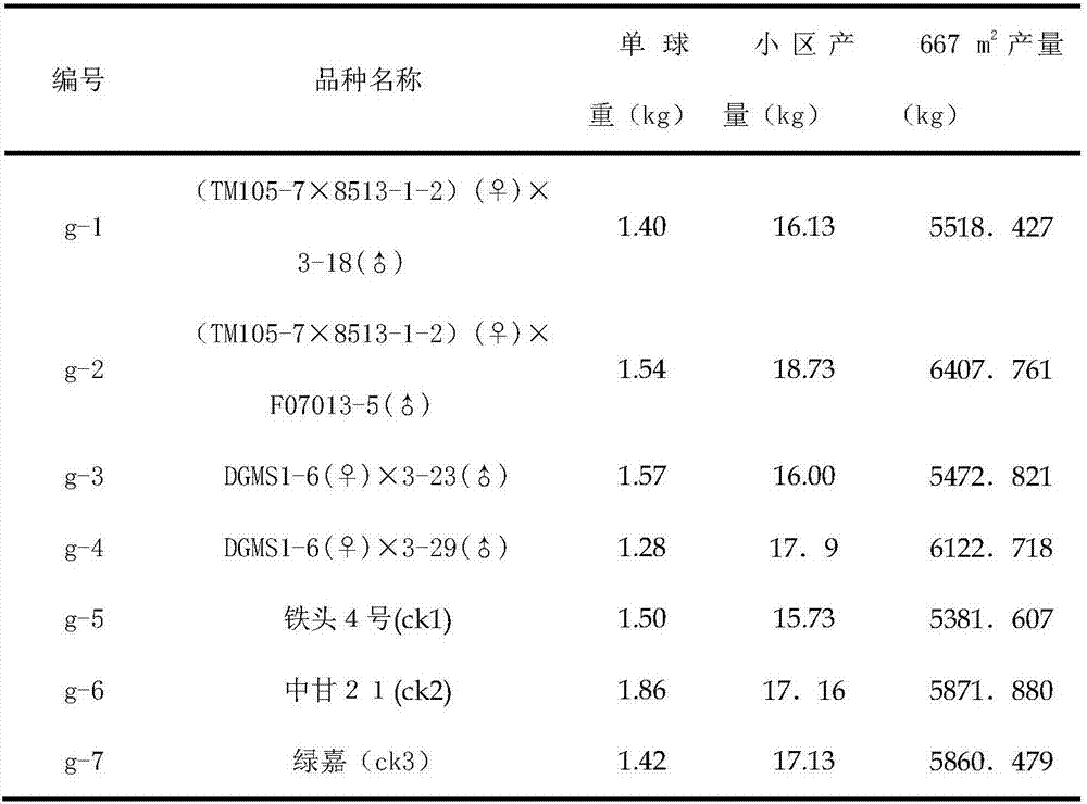 High-yield cultivation method of Brassica oleracea